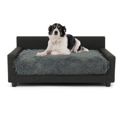 Polyester couch for shops pets